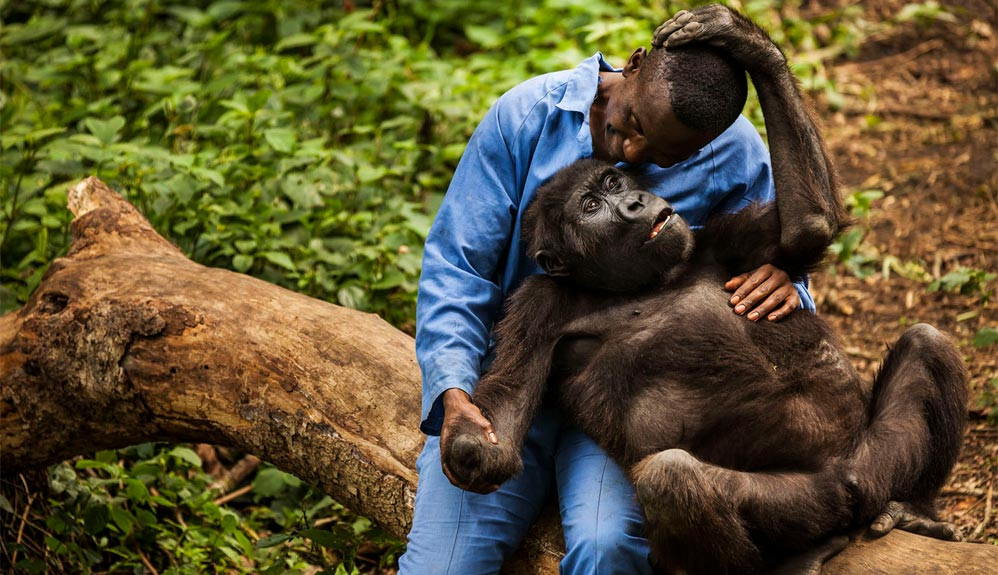 article-rangers-asesinados-virunga-5acc7c8467ecf