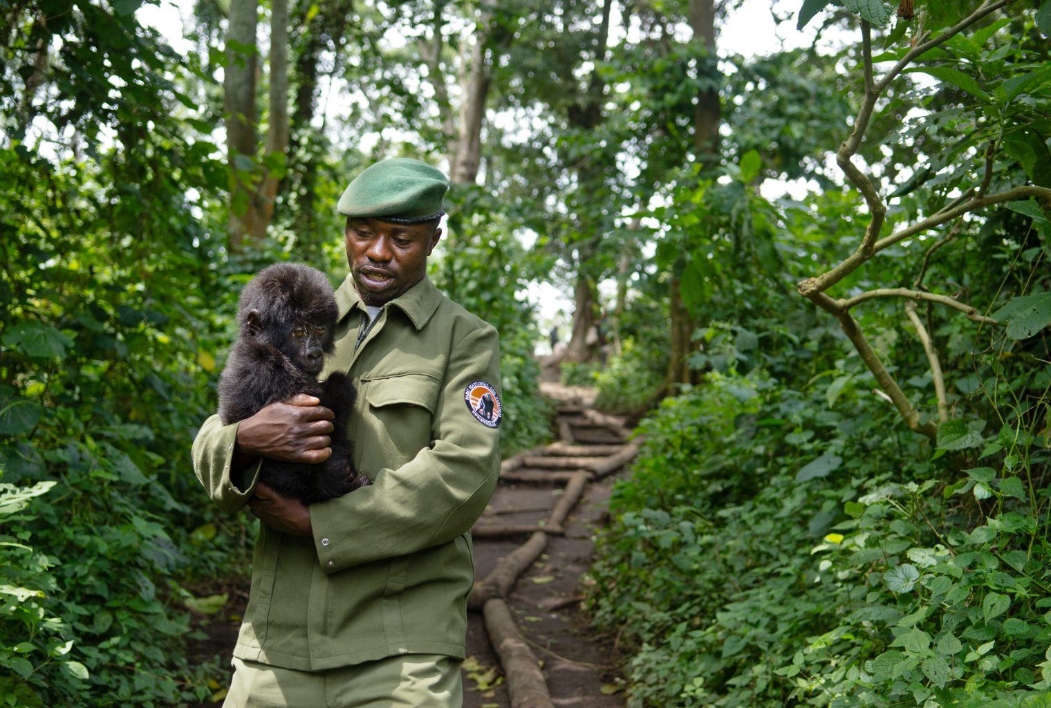 Ranger-Christian-Shamavu-with-baby-Gorilla-name-Shumavu-after-him-credit-LuAnne-Cadd-1520x1024.jpg