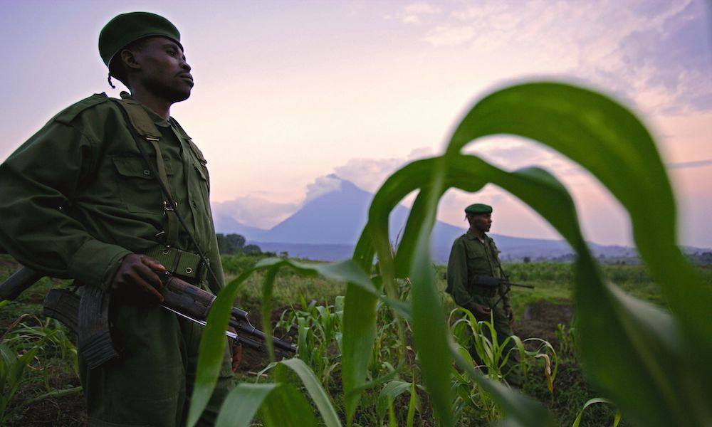 rangers-in-virunga-national-park.jpg
